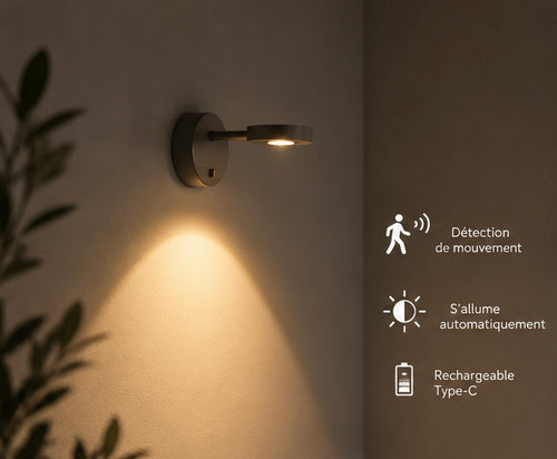 lampe passe partout